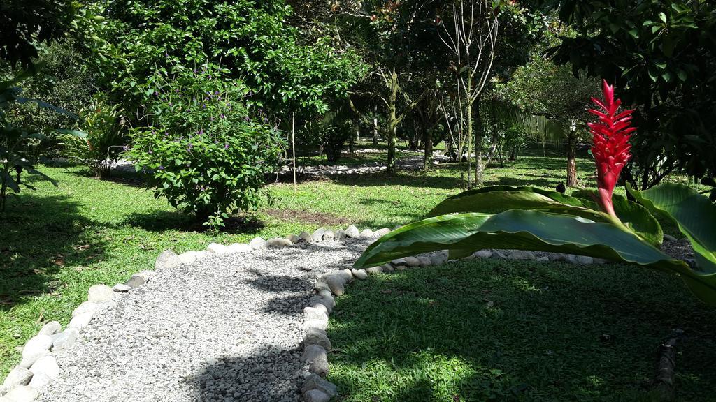 Roca Negra Del Arenal Hotel La Fortuna